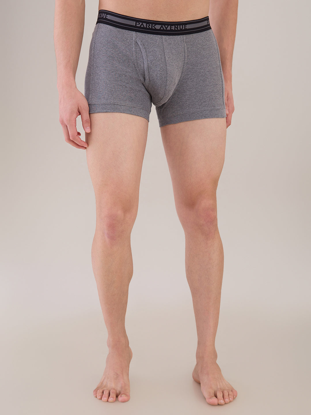 Park Avenue Grey Trunk