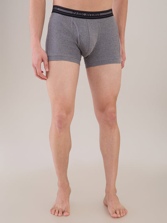 Park Avenue Grey Trunk