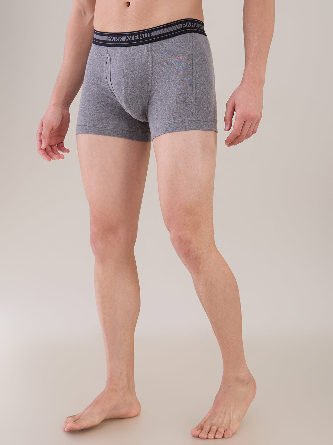 Park Avenue Grey Trunk