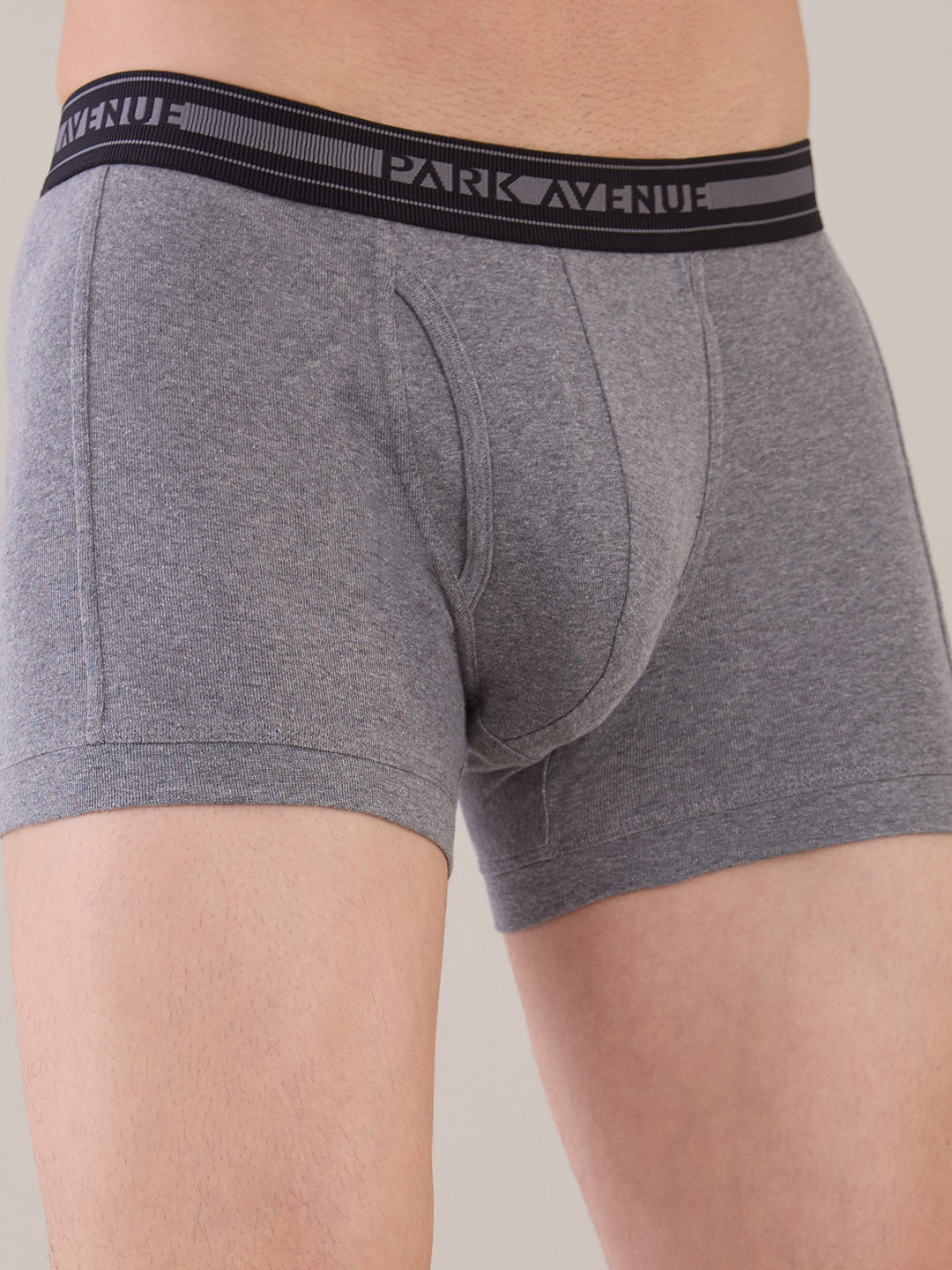 Park Avenue Men Grey Nylon Blend Trunk