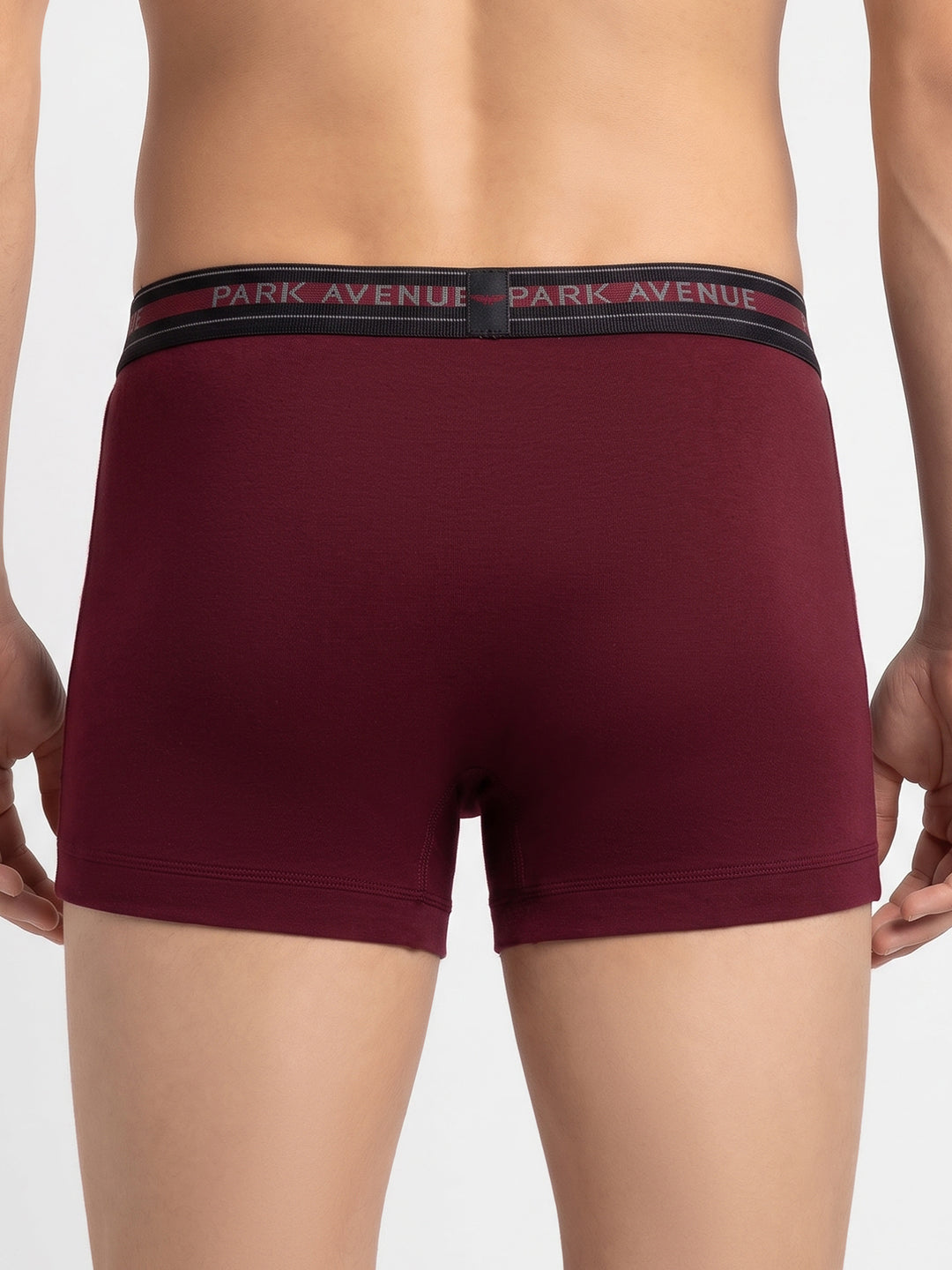 Park Avenue Men Maroon Tactel Nyloan Blend Trunk