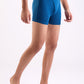 Park Avenue Blue Trunk