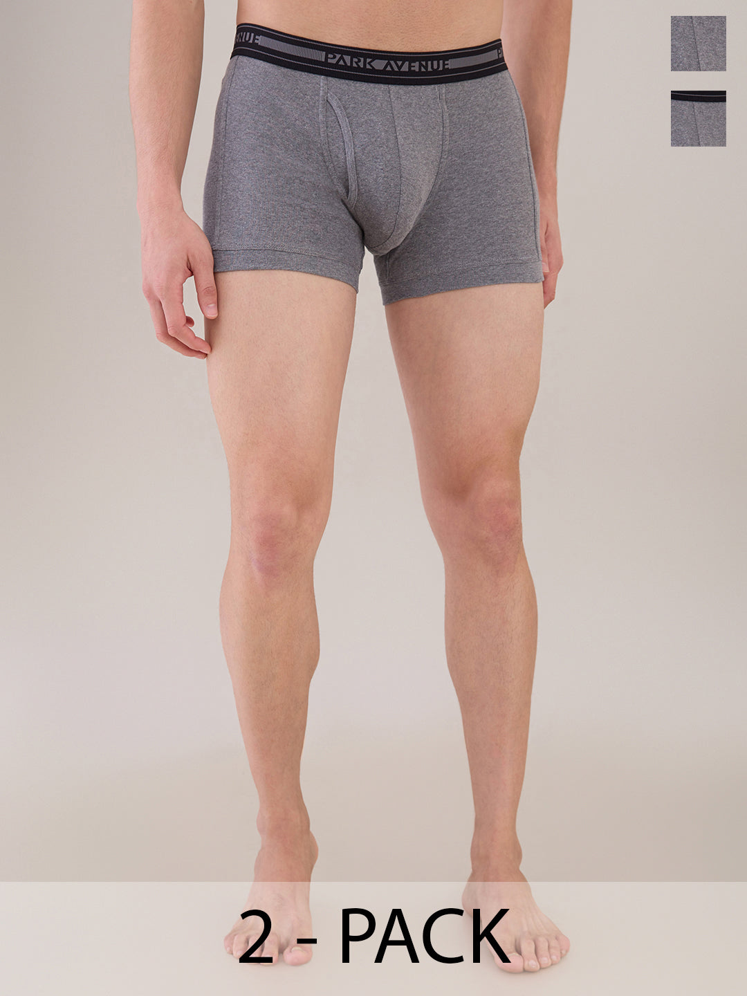 Park Avenue Grey Trunk