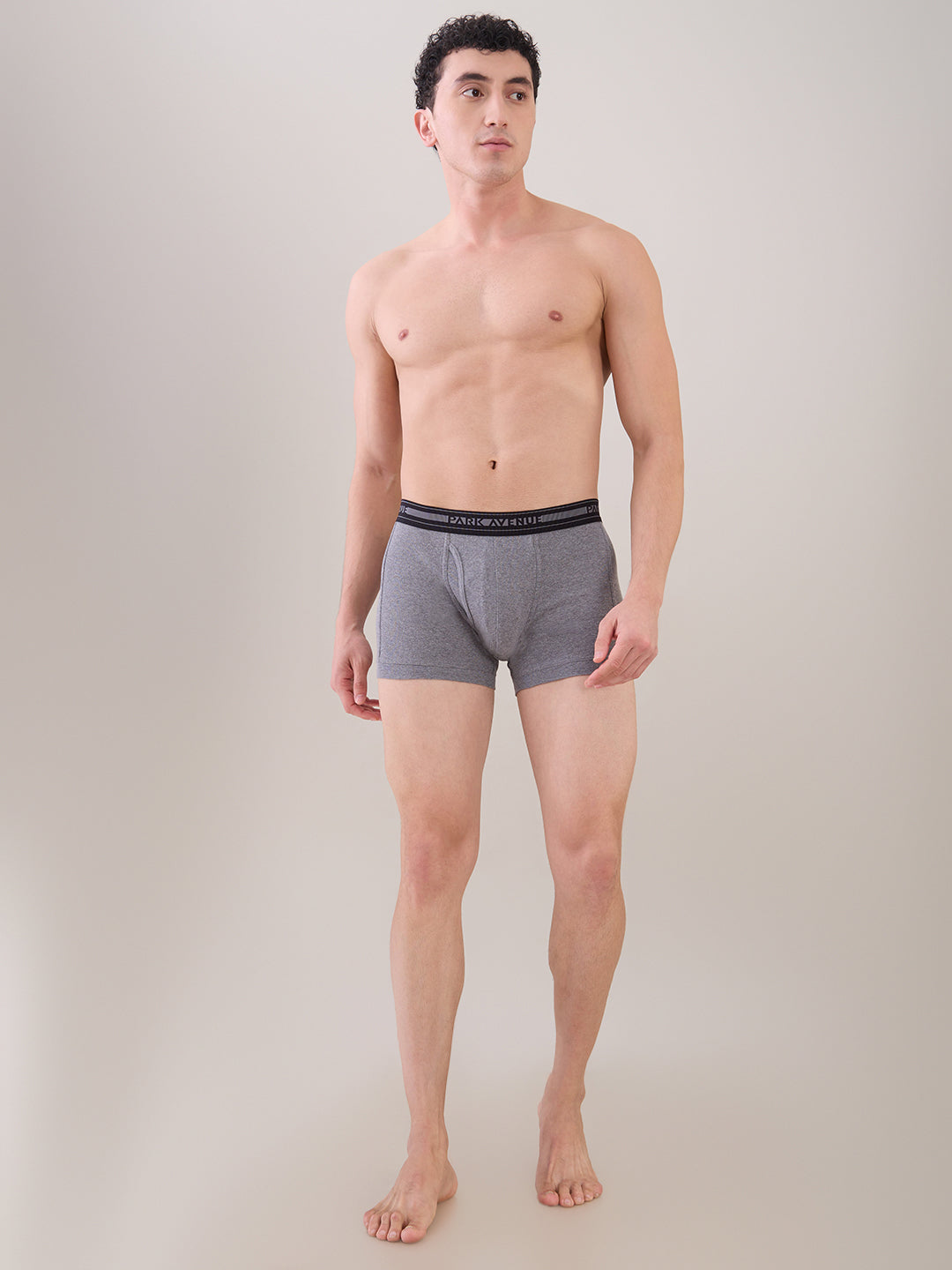 Park Avenue Grey Trunk