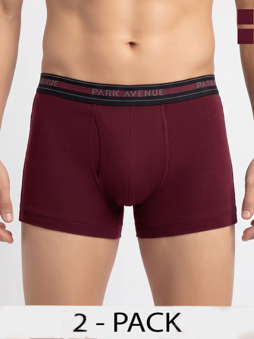 Park Avenue Men Marron Cotton Trunk