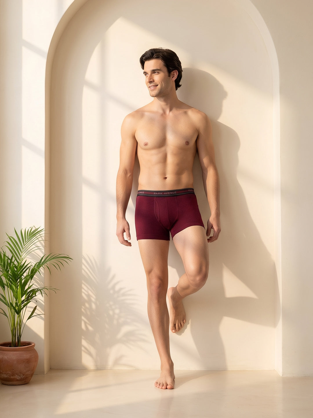 Park Avenue Men Marron Cotton Trunk