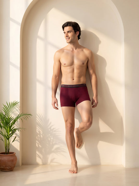 Park Avenue Men Marron Cotton Trunk
