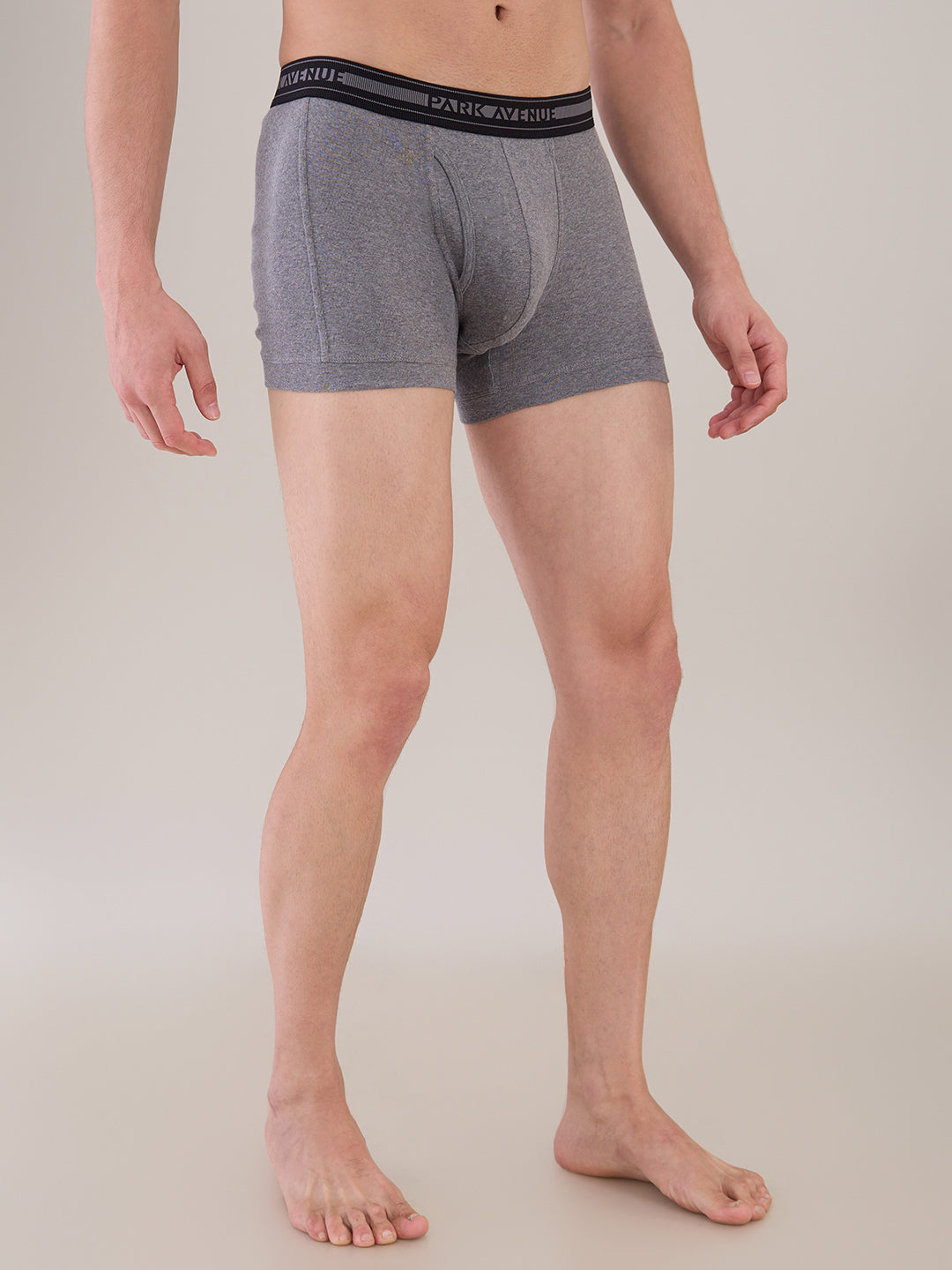 Park Avenue Multi-Colour Trunk