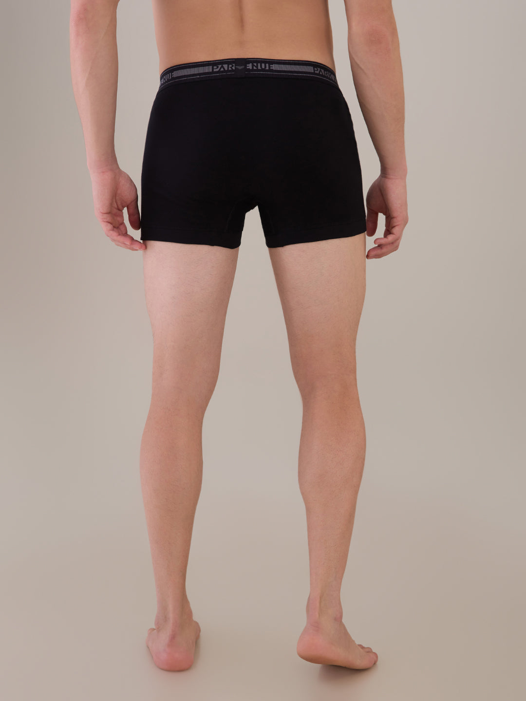 Park Avenue Multi-Colour Trunk