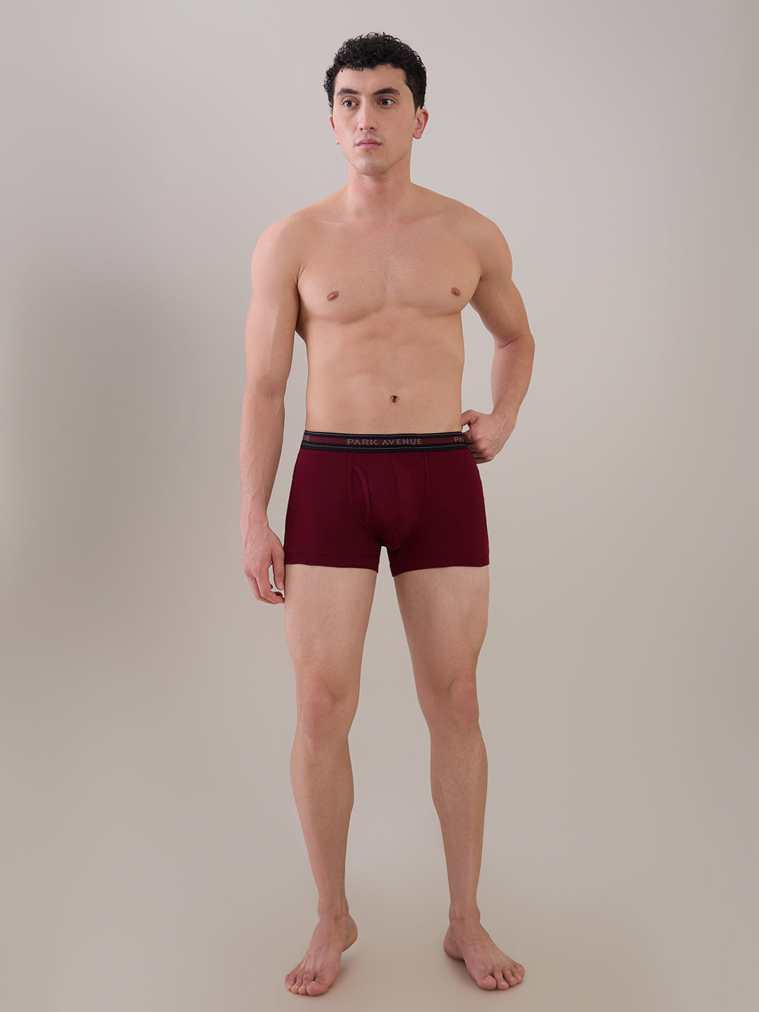 Park Avenue Multi-Colour Trunk