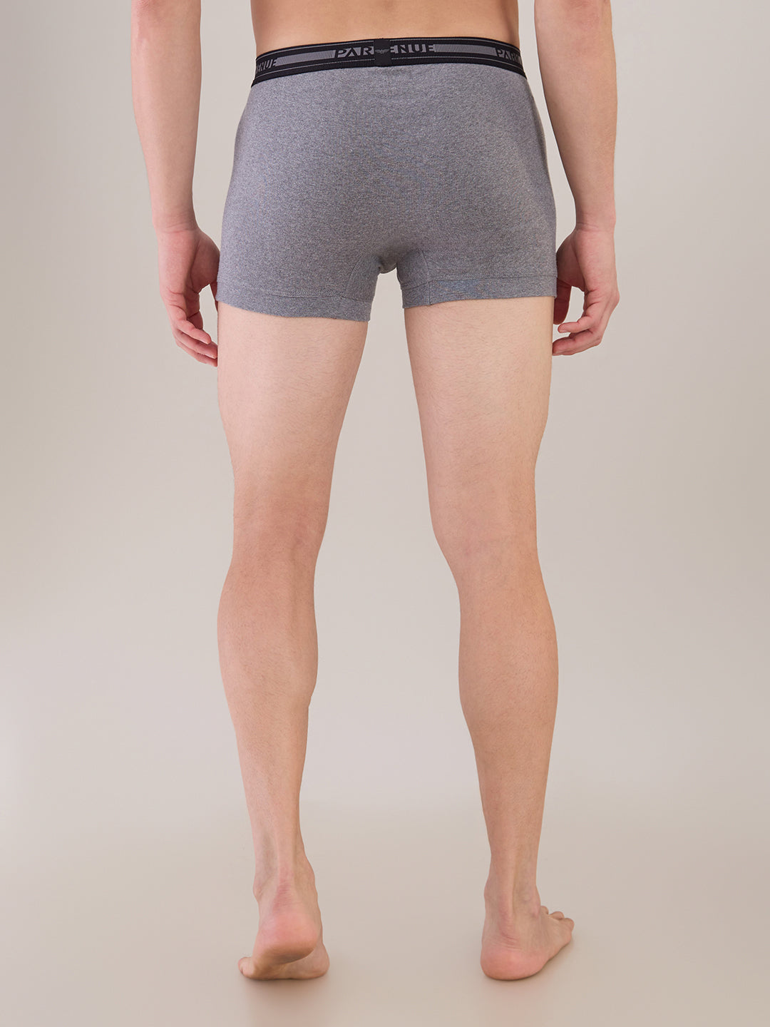 Park Avenue Multi-Colour Trunk
