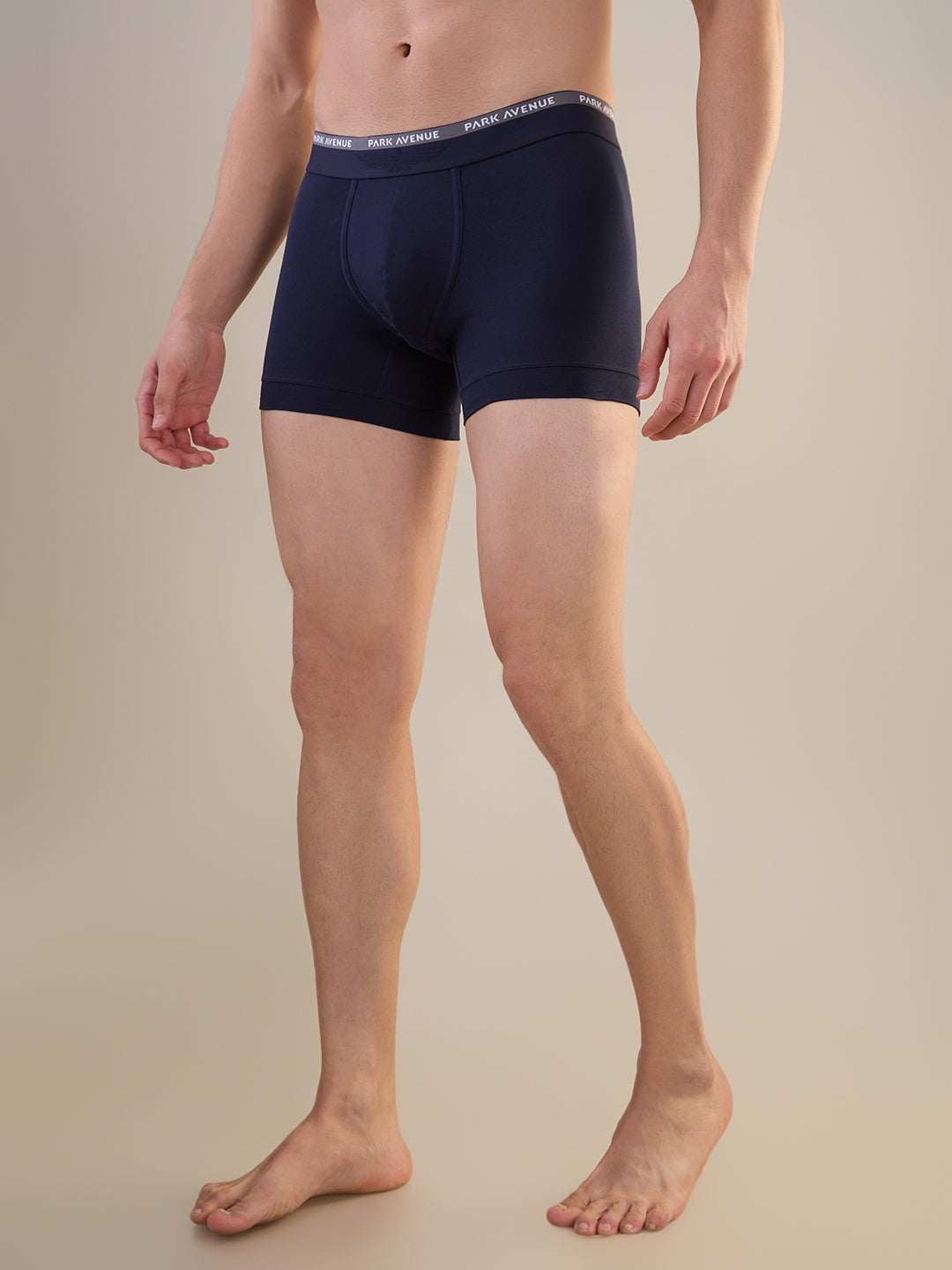 Park Avenue Blue Trunk