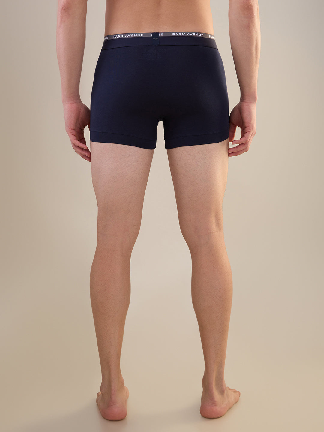 Park Avenue Blue Trunk