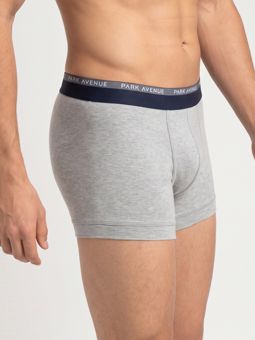 Park Avenue Men Grey Cotton Blend Trunk