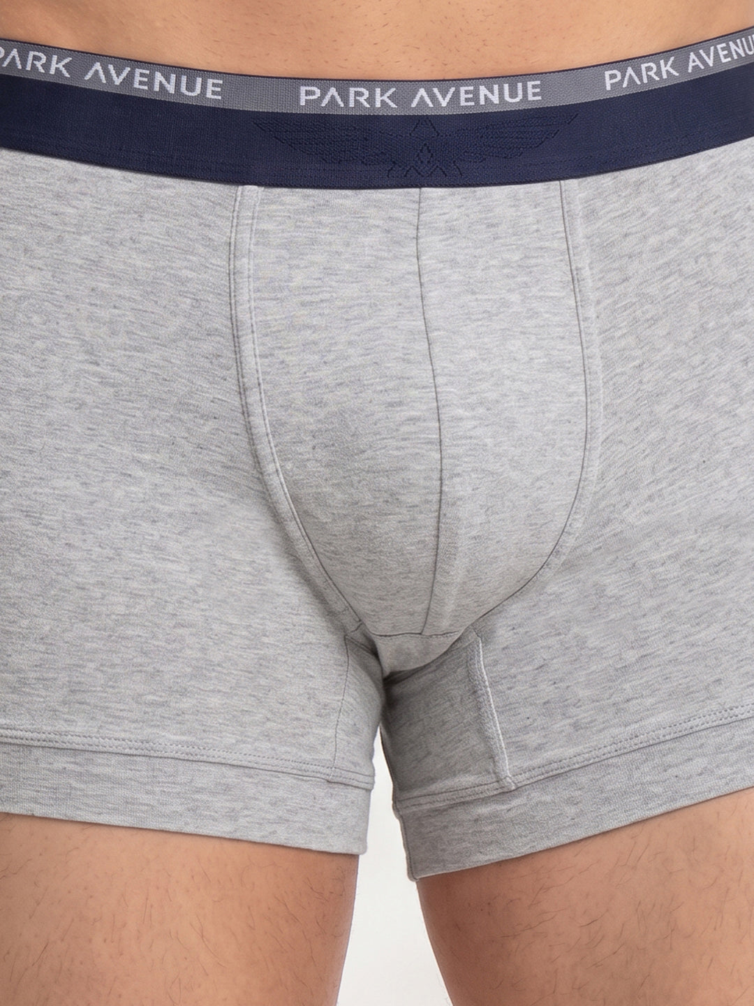 Park Avenue Men Grey Cotton Blend Trunk