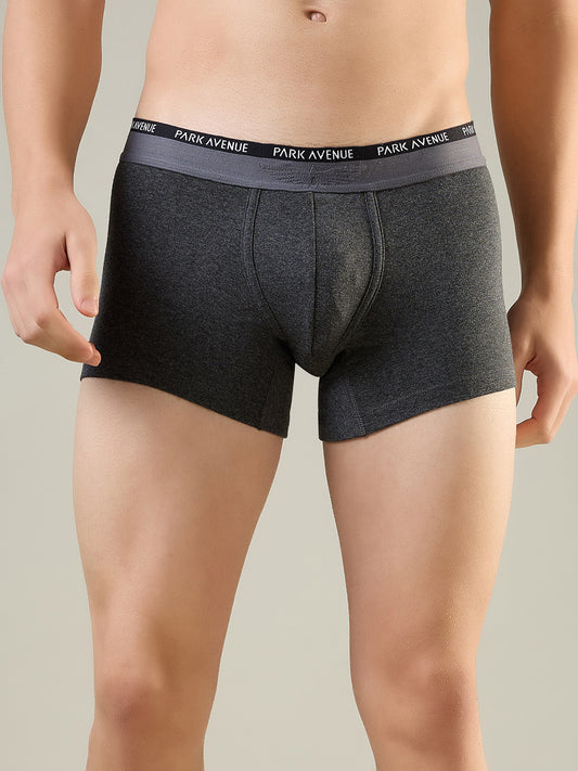 Park Avenue Grey Trunk