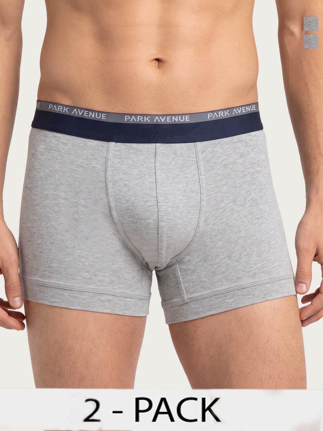 Park Avenue Men Grey Cotton Blend Trunk