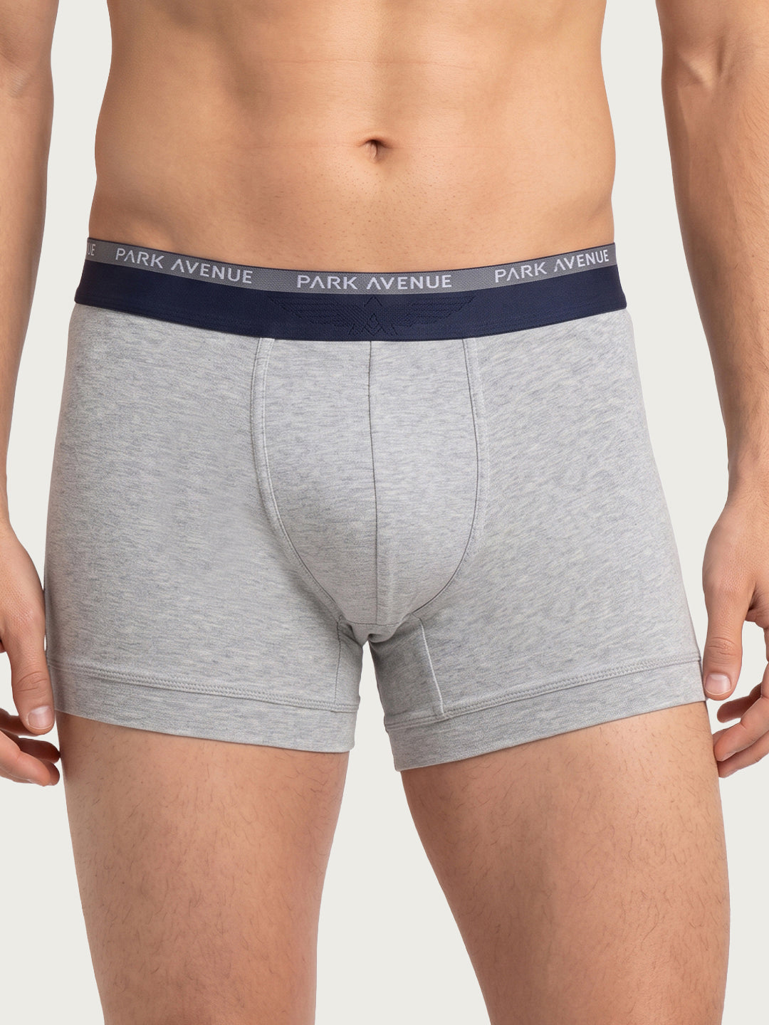 Park Avenue Men Grey Cotton Blend Trunk