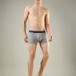 Park Avenue Grey Trunk