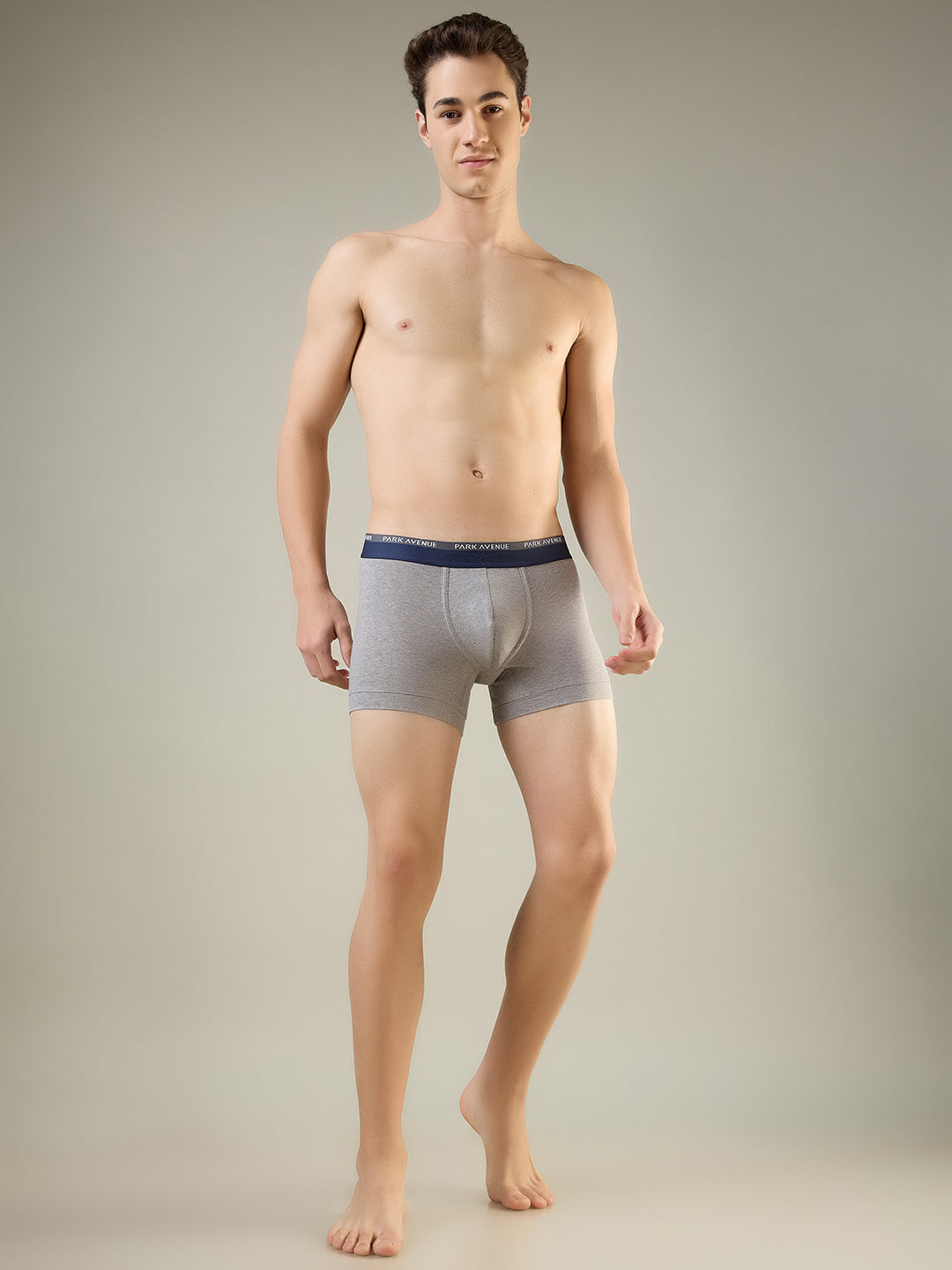 Park Avenue Grey Trunk