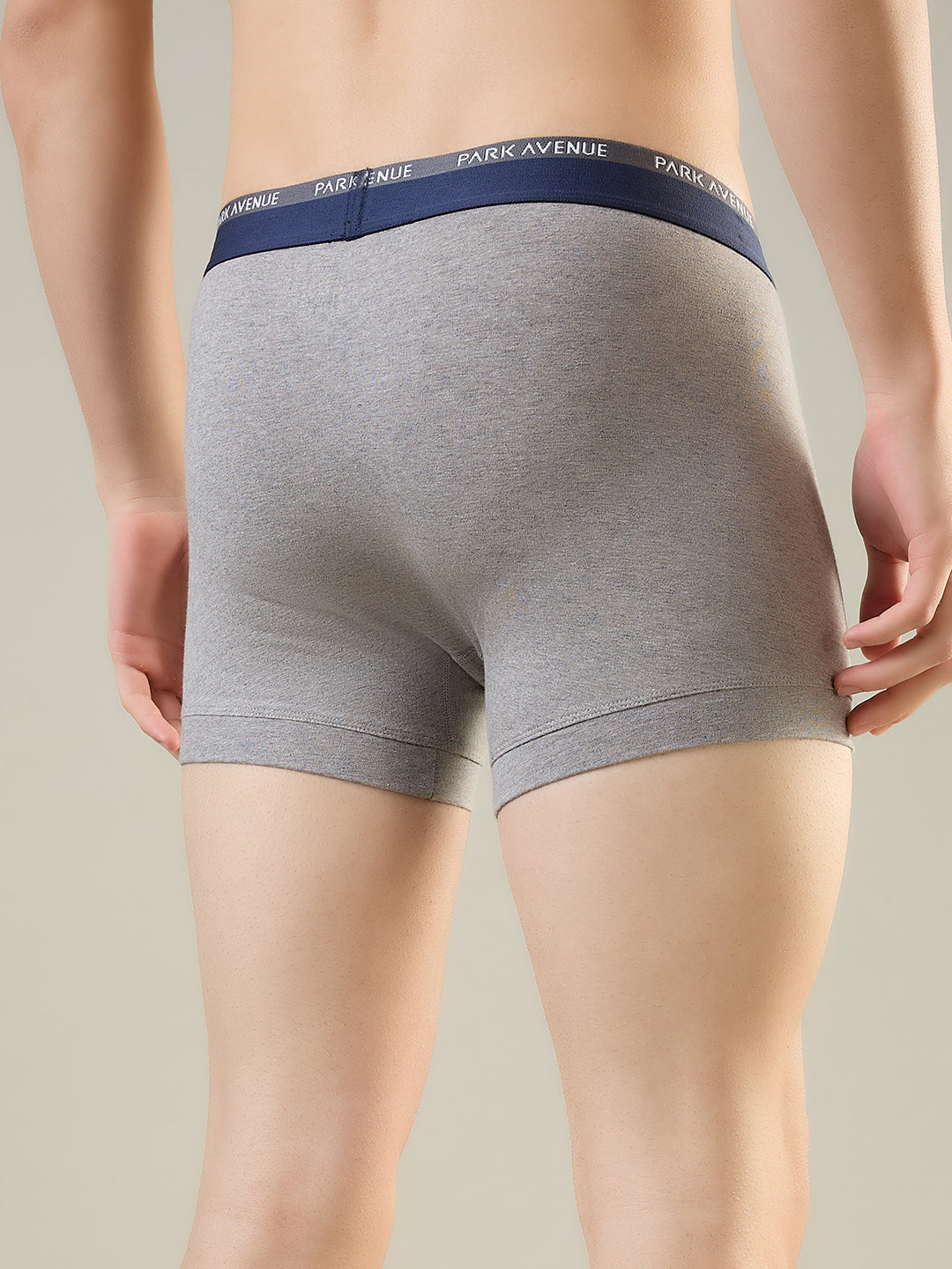 Park Avenue Grey Trunk