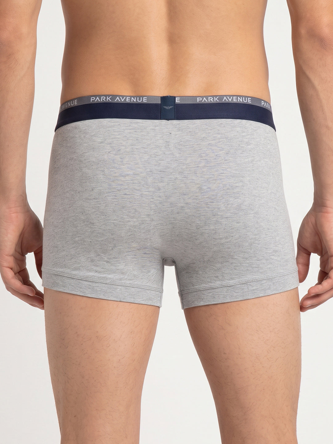 Park Avenue Men Grey Cotton Blend Trunk