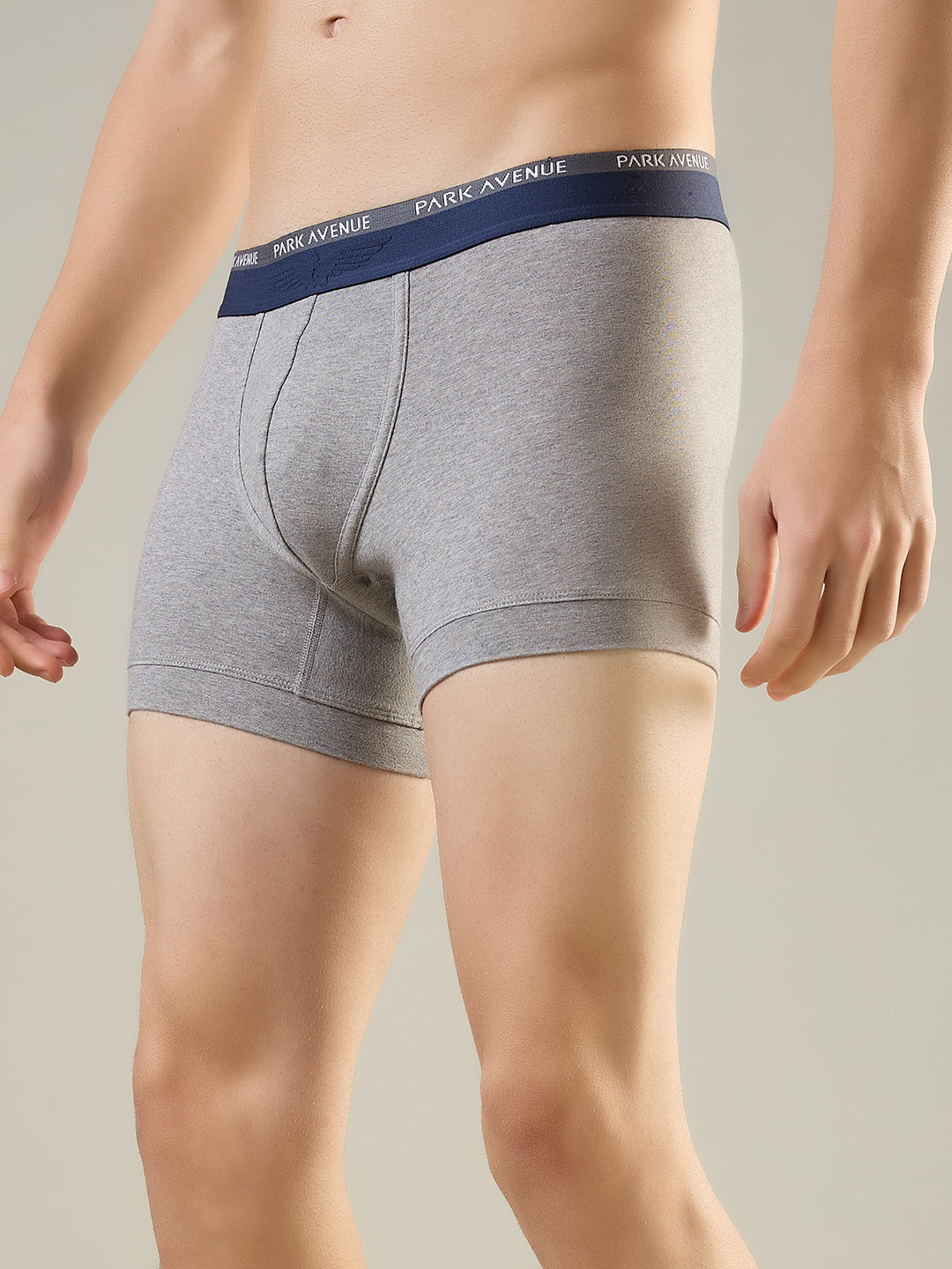 Park Avenue Grey Trunk