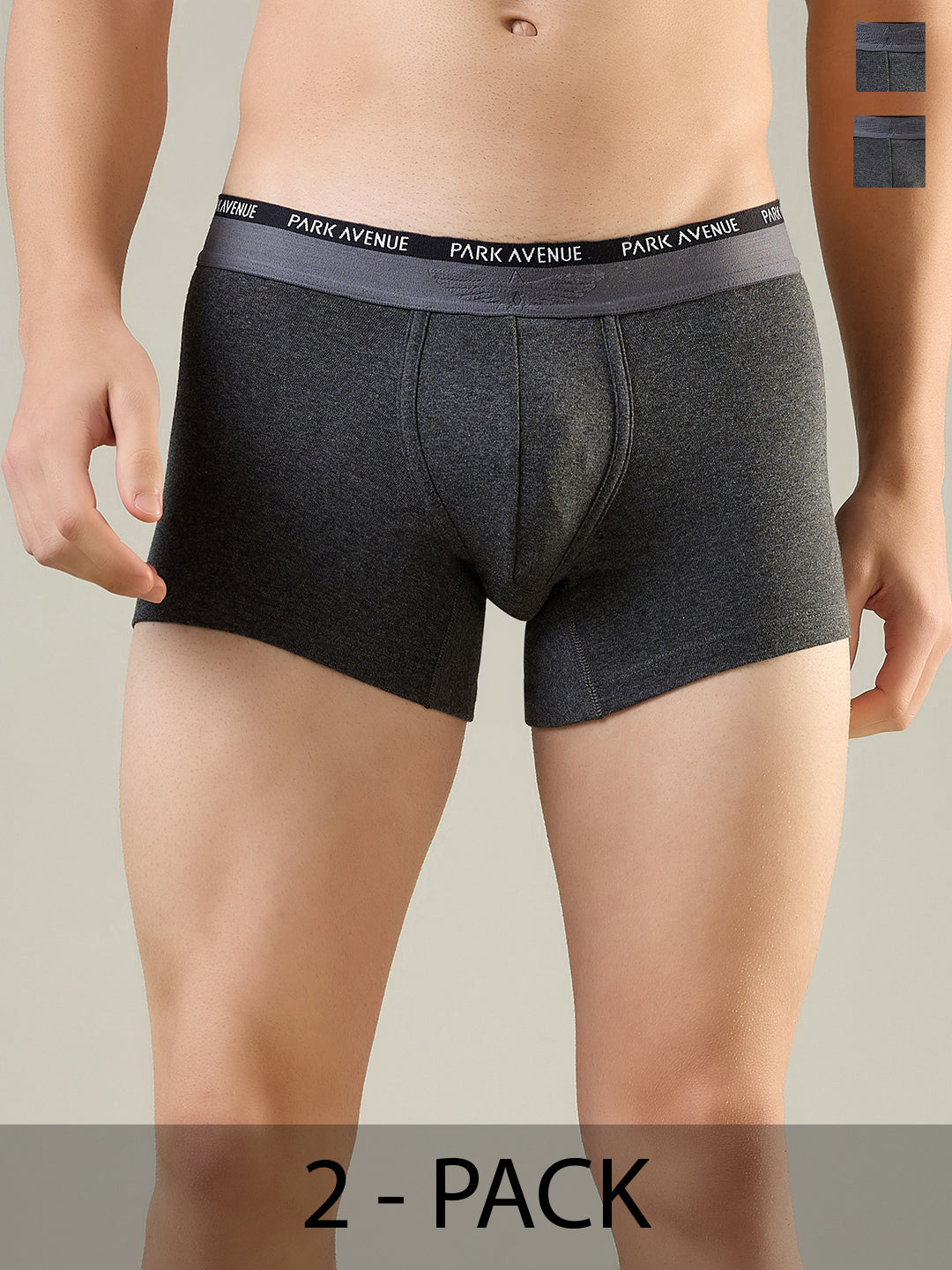 Park Avenue Grey Trunk