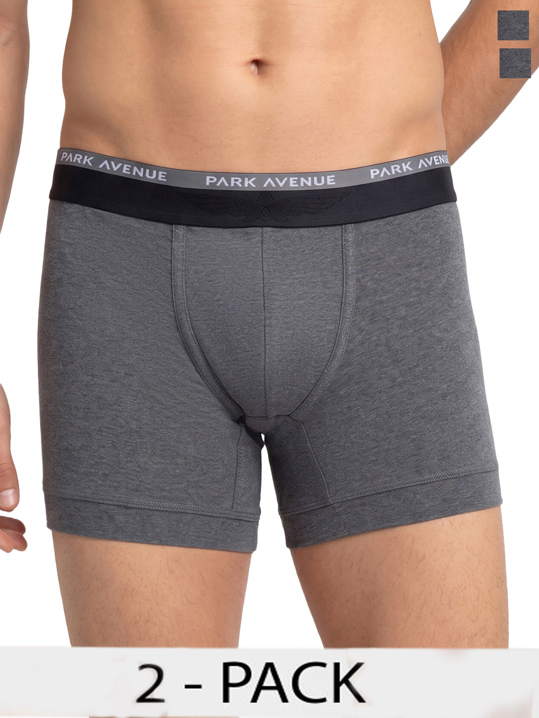 Park Avenue Men Grey Cotton Blend Trunk