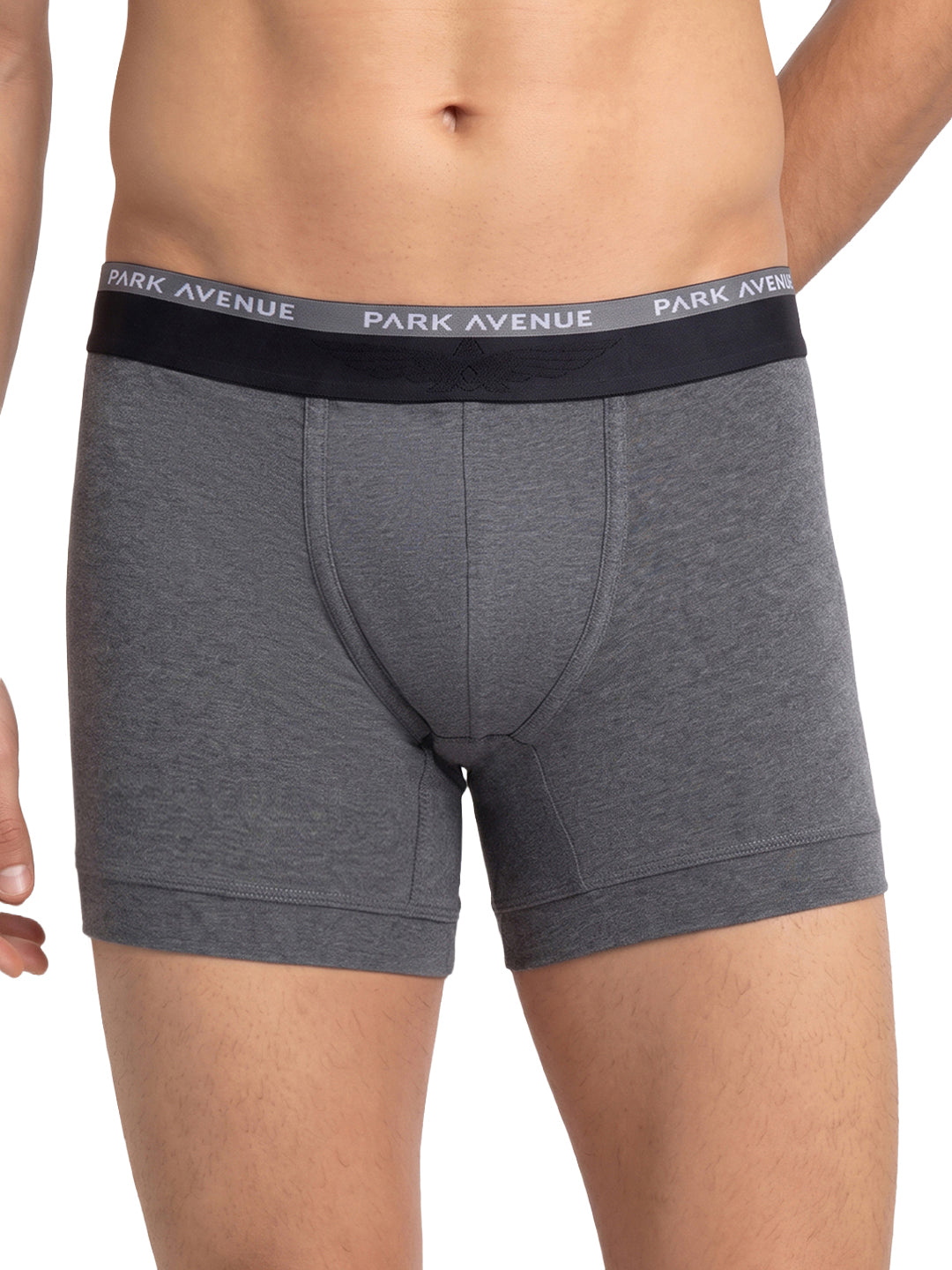 Park Avenue Men Grey Cotton Blend Trunk