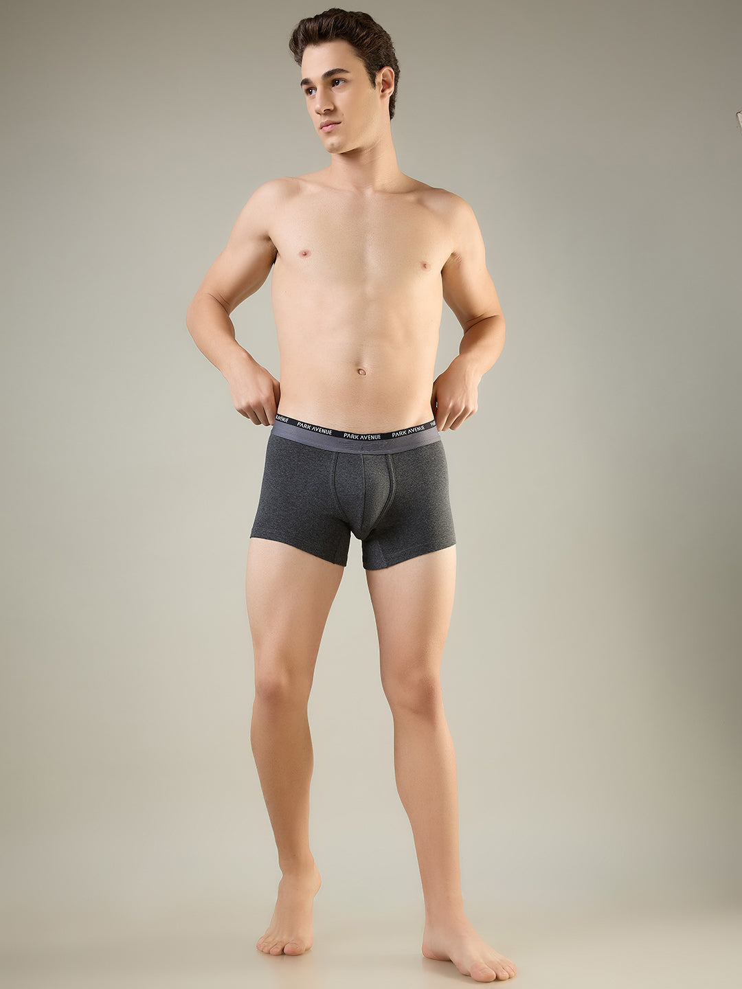 Park Avenue Grey Trunk