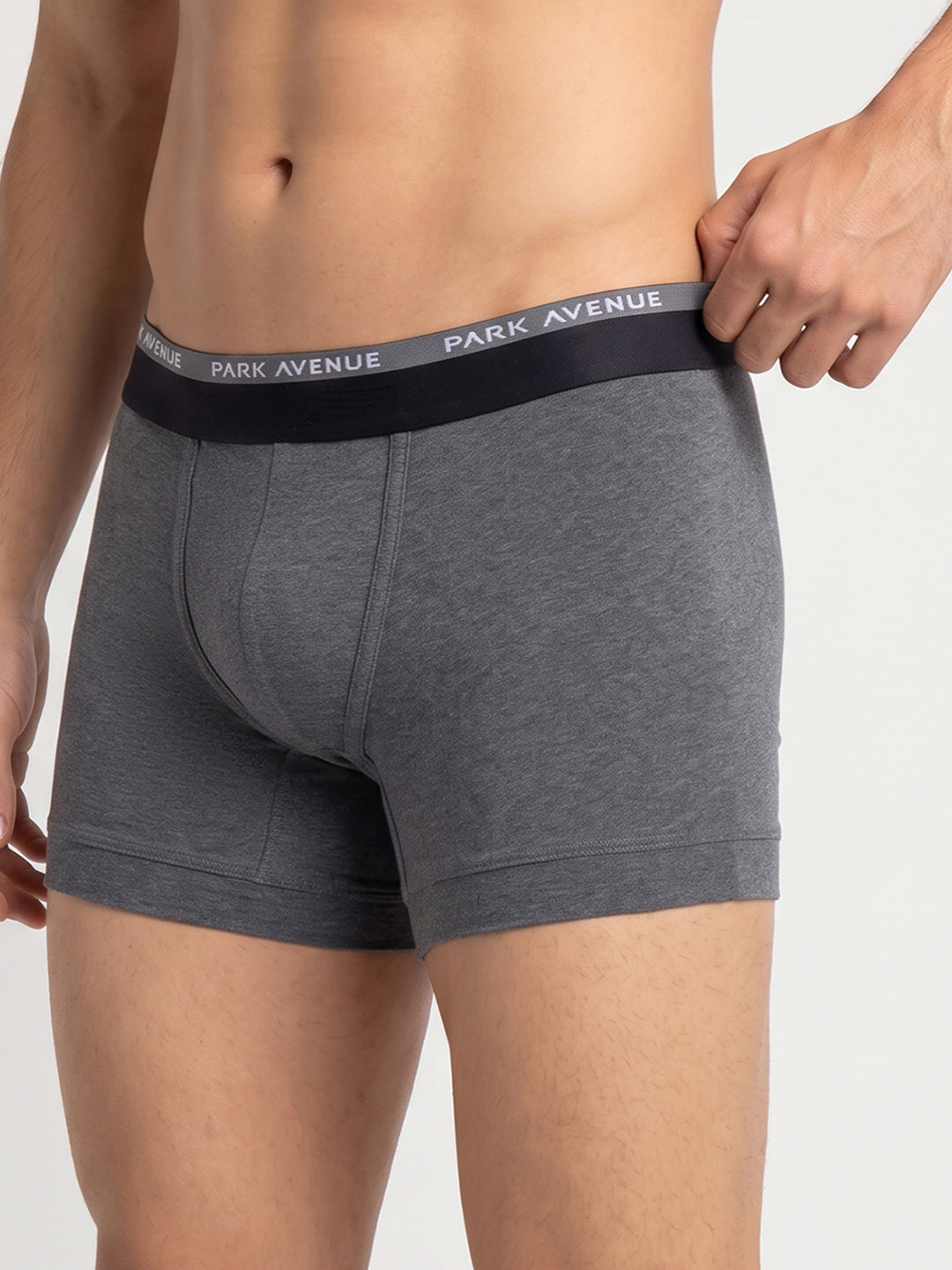 Park Avenue Men Grey Cotton Blend Trunk