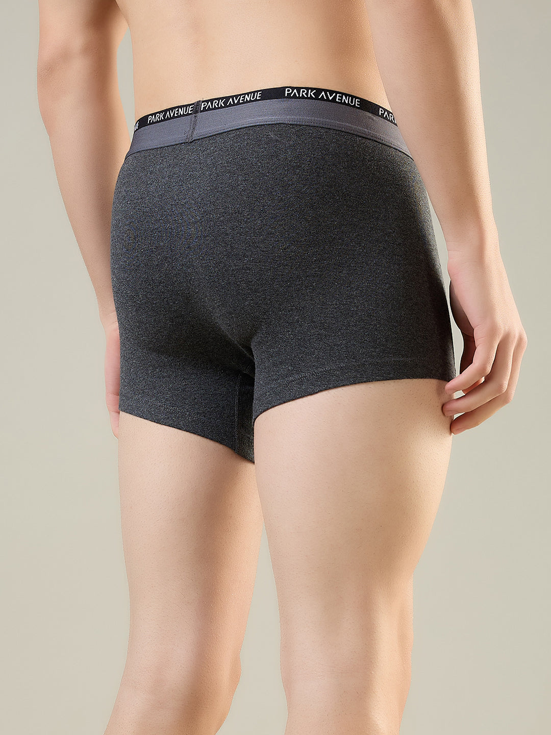 Park Avenue Grey Trunk