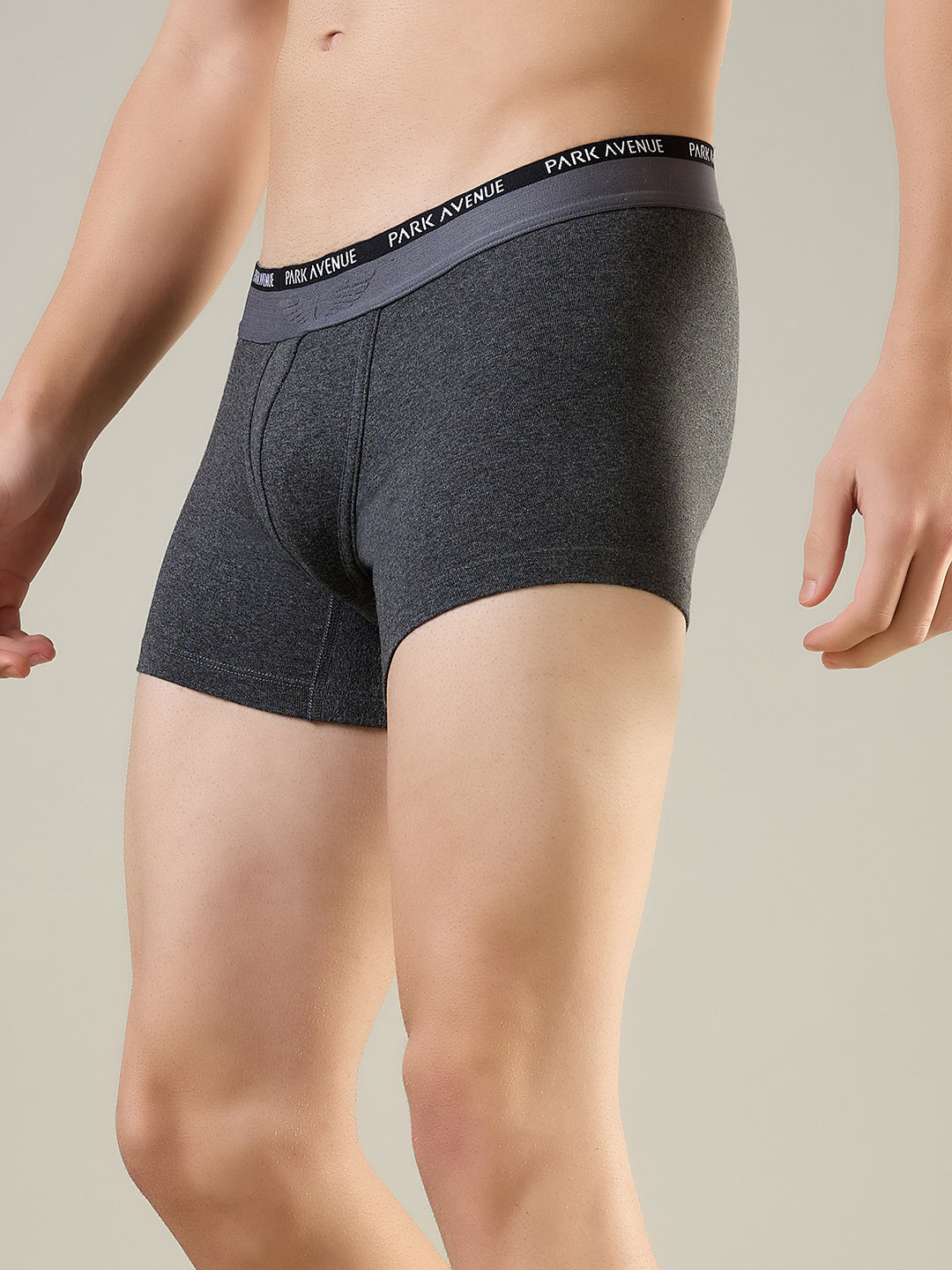 Park Avenue Grey Trunk