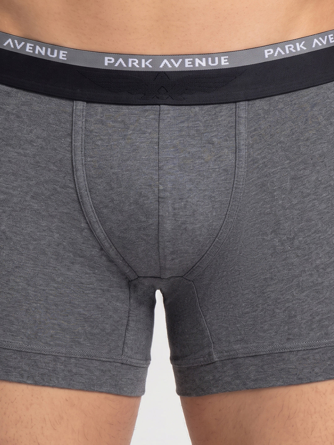 Park Avenue Men Grey Cotton Blend Trunk