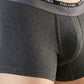 Park Avenue Men Grey Cotton Blend Trunk