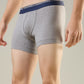 Park Avenue Multi-Colour Trunk