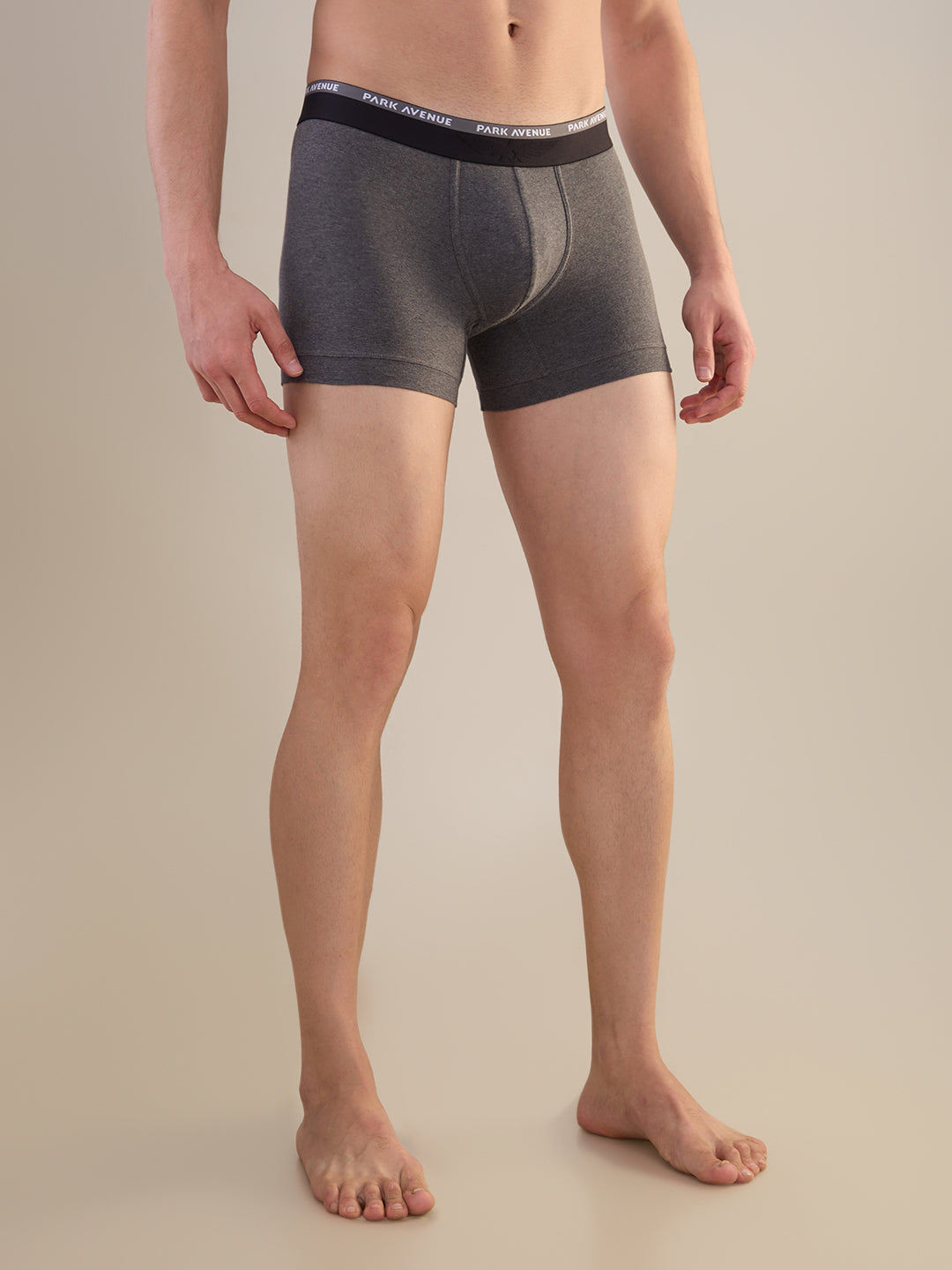 Park Avenue Multi-Colour Trunk