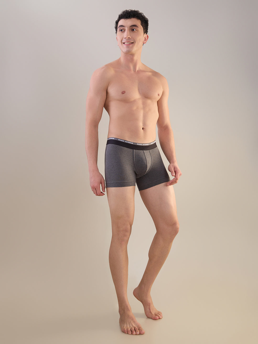Park Avenue Multi-Colour Trunk