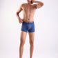 Park Avenue Blue Trunk
