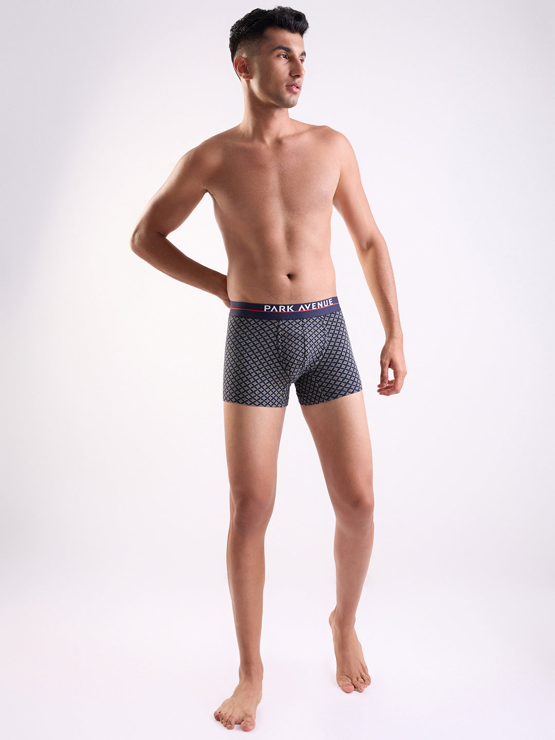 Park Avenue Blue Trunk