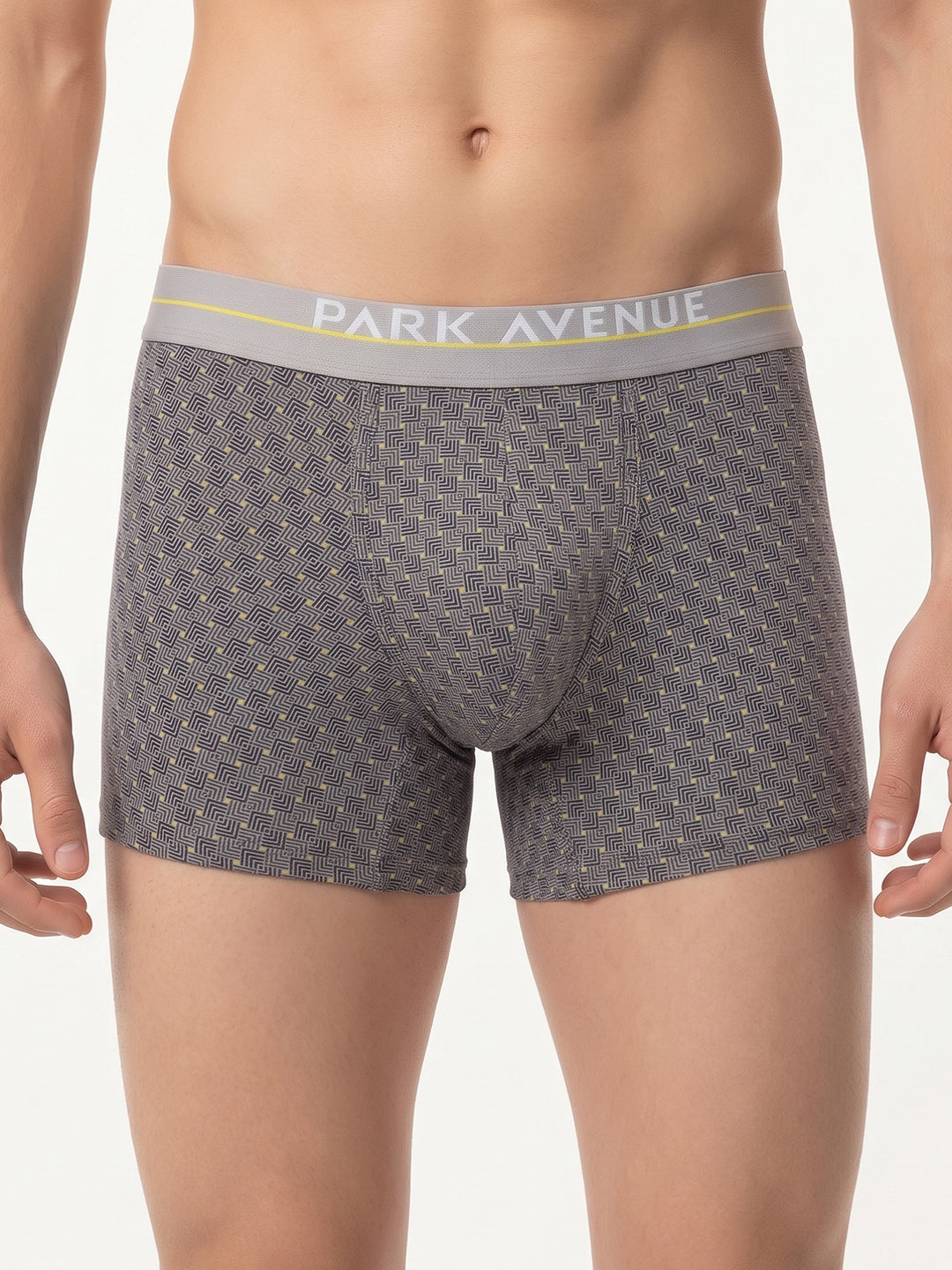 Park Avenue Men Grey Trunk