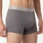 Park Avenue Men Grey Trunk