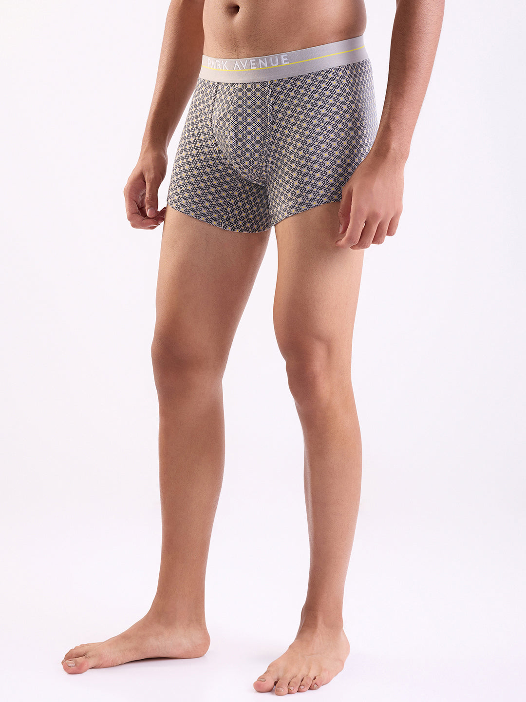 Park Avenue Grey Trunk