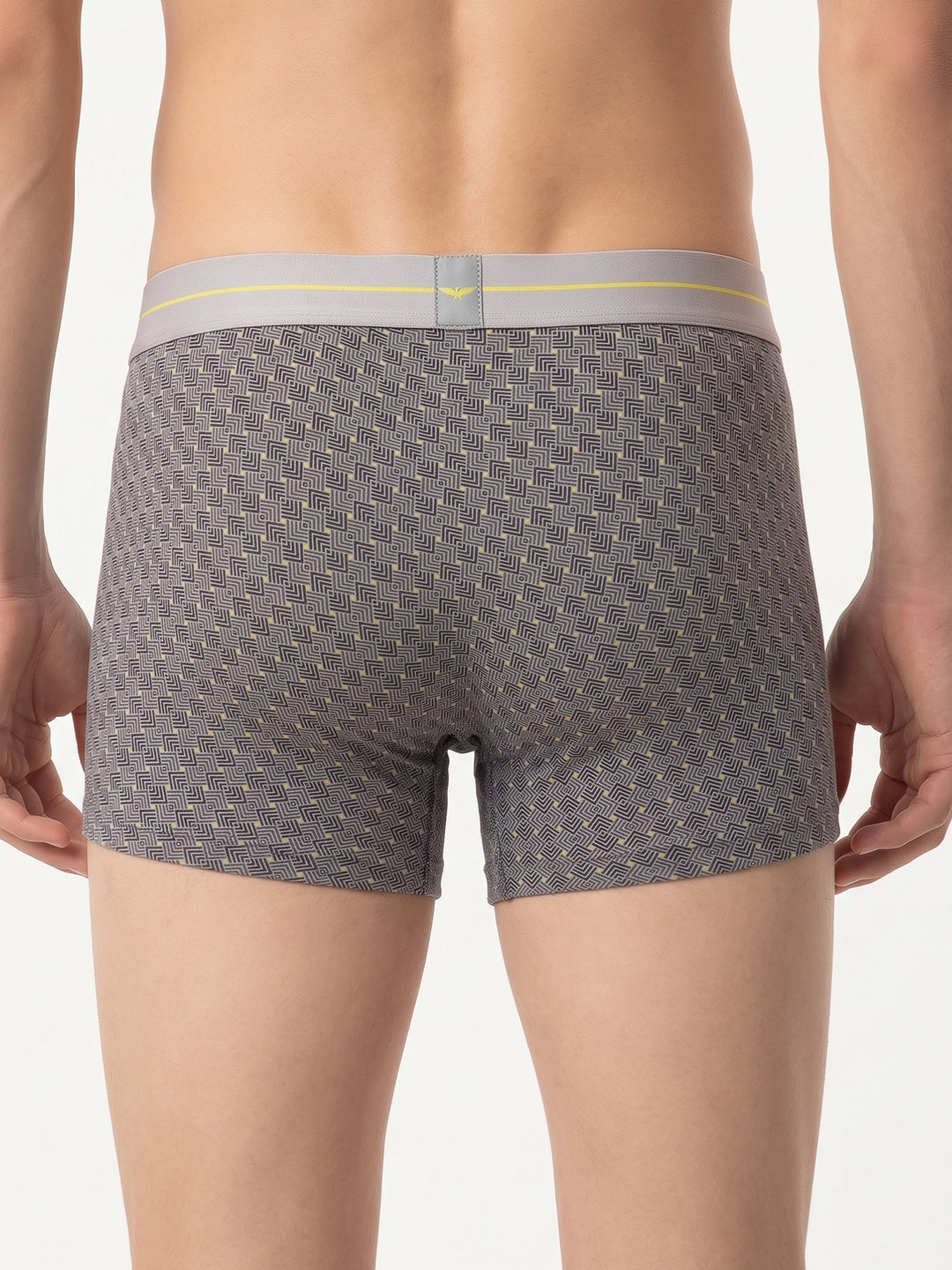 Park Avenue Men Grey Trunk
