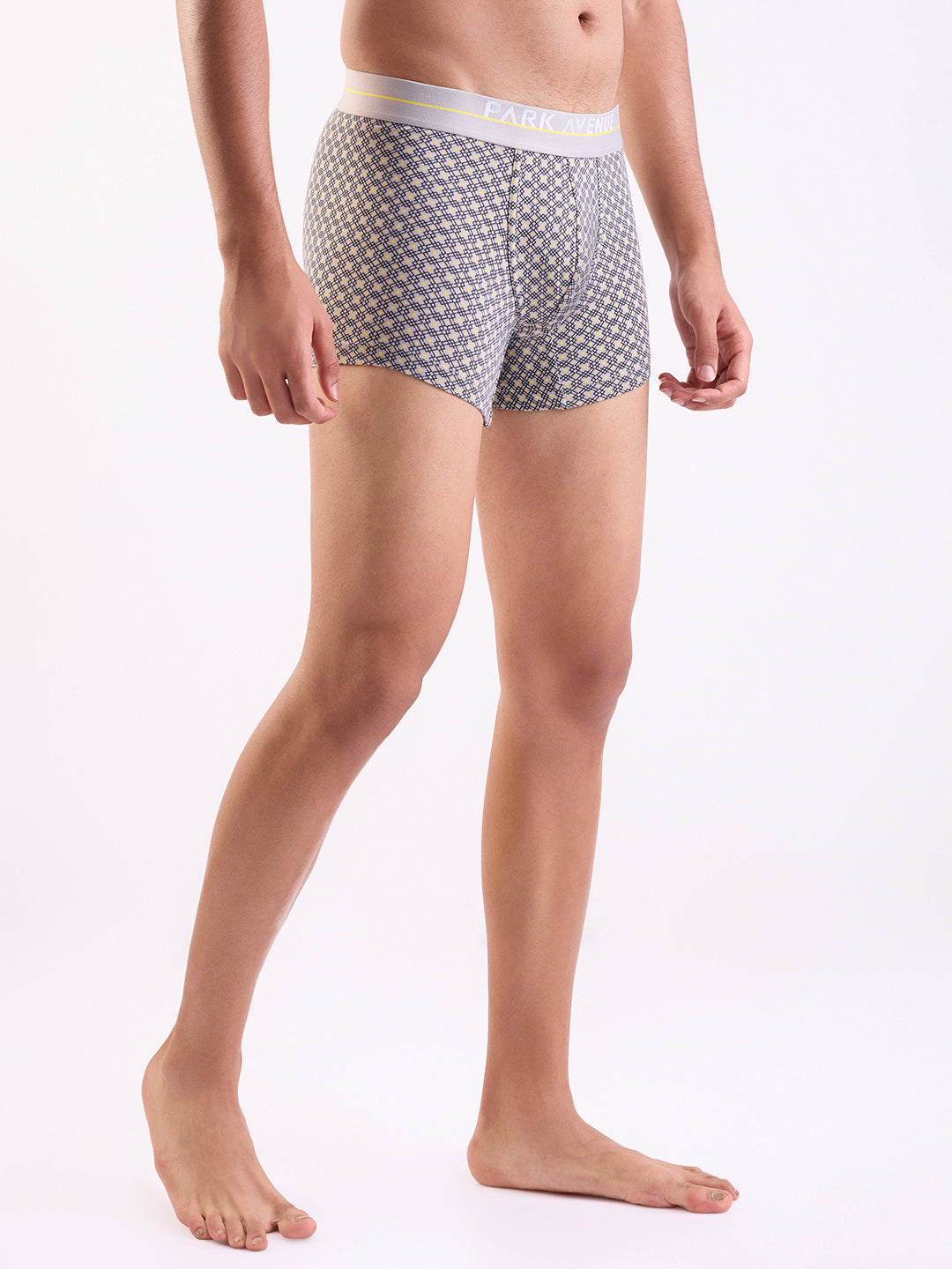 Park Avenue Grey Trunk