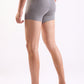 Park Avenue Grey Trunk