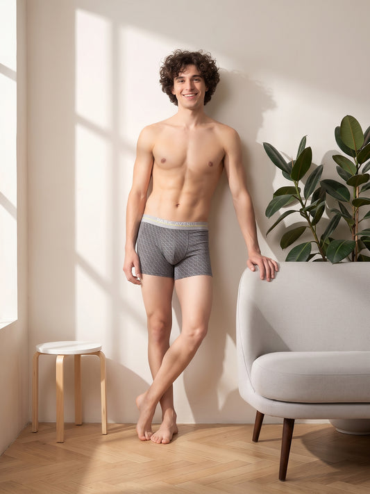 Park Avenue Men Grey Trunk