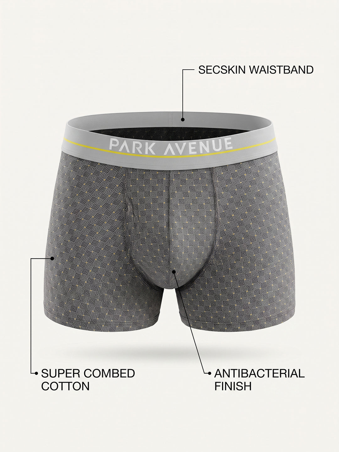Park Avenue Men Grey Trunk