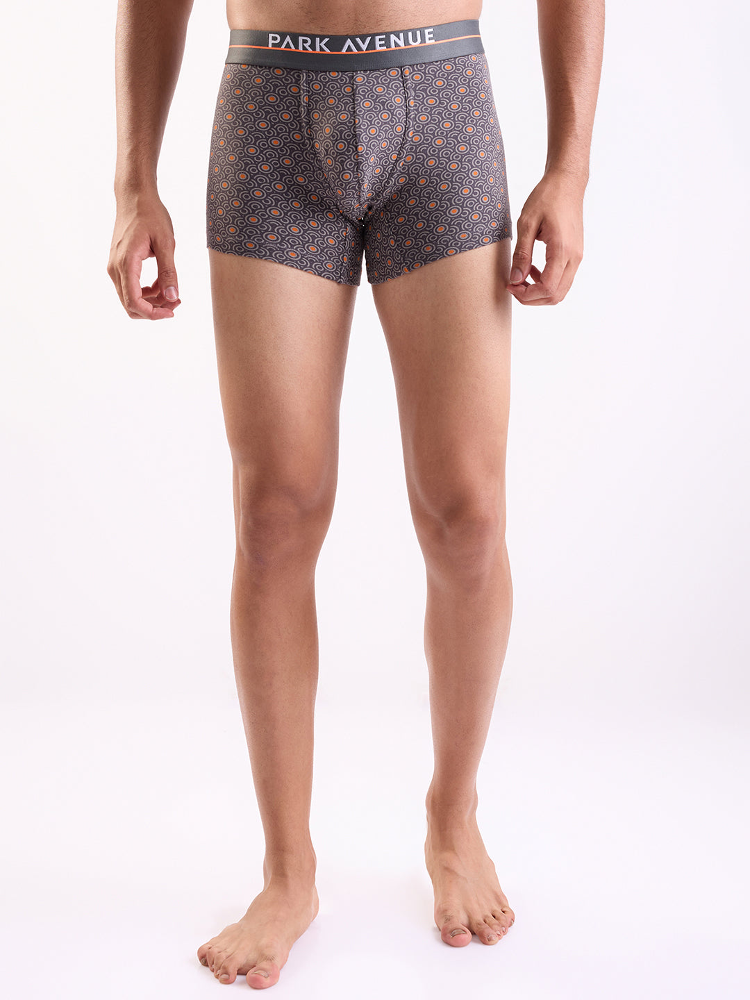 Park Avenue Grey Trunk